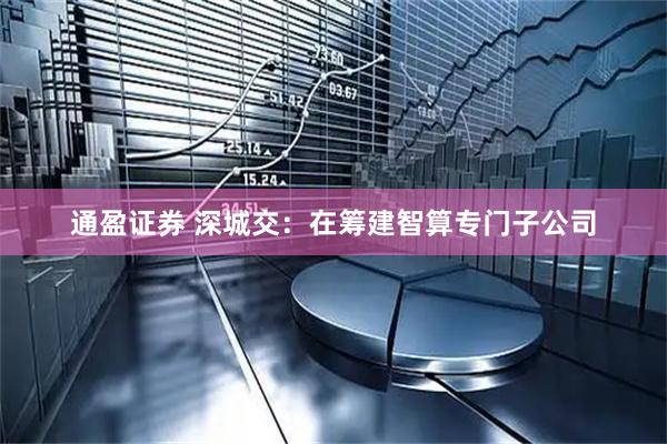通盈证券 深城交：在筹建智算专门子公司