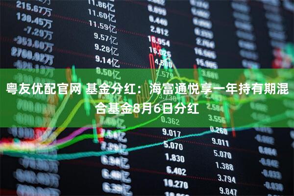 粤友优配官网 基金分红：海富通悦享一年持有期混合基金8月6日分红