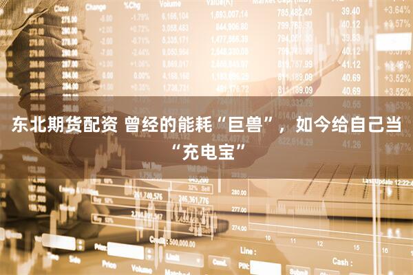 东北期货配资 曾经的能耗“巨兽”，如今给自己当“充电宝”